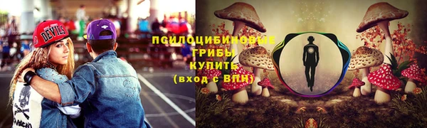 не бодяженный Абаза