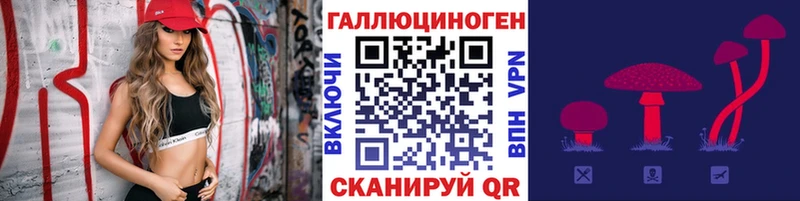 Галлюциногенные грибы MAGIC MUSHROOMS  цены наркотик  Пудож 